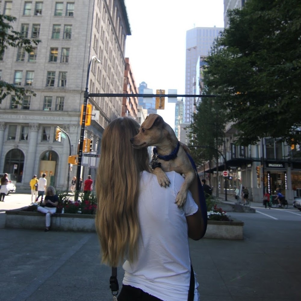 Meet your Posher, Rachel